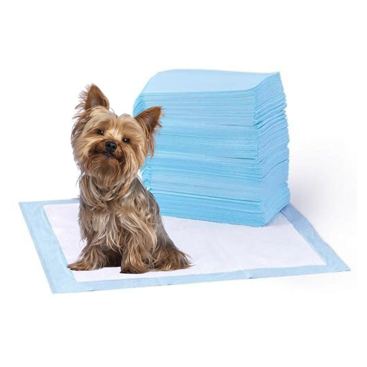 GENERICO - Almohadillas Sabanillas Higiénicas Para Mascotas 60x60cm