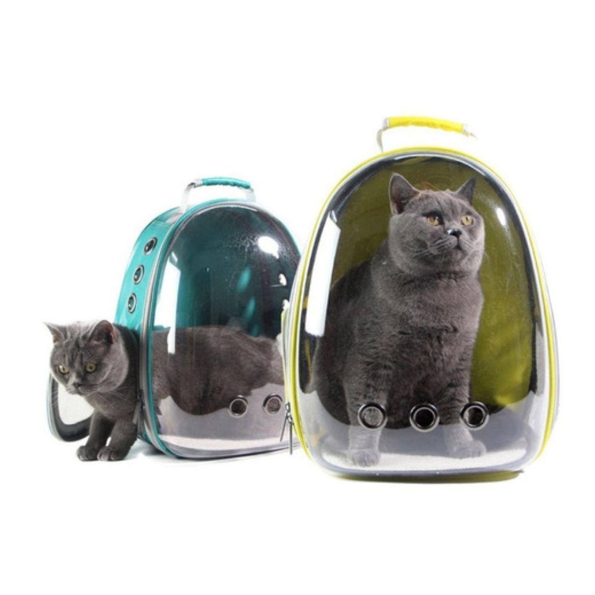 GENERICO - Bolso Mochila Porta Perros Jaula Transporte Perros Gatos