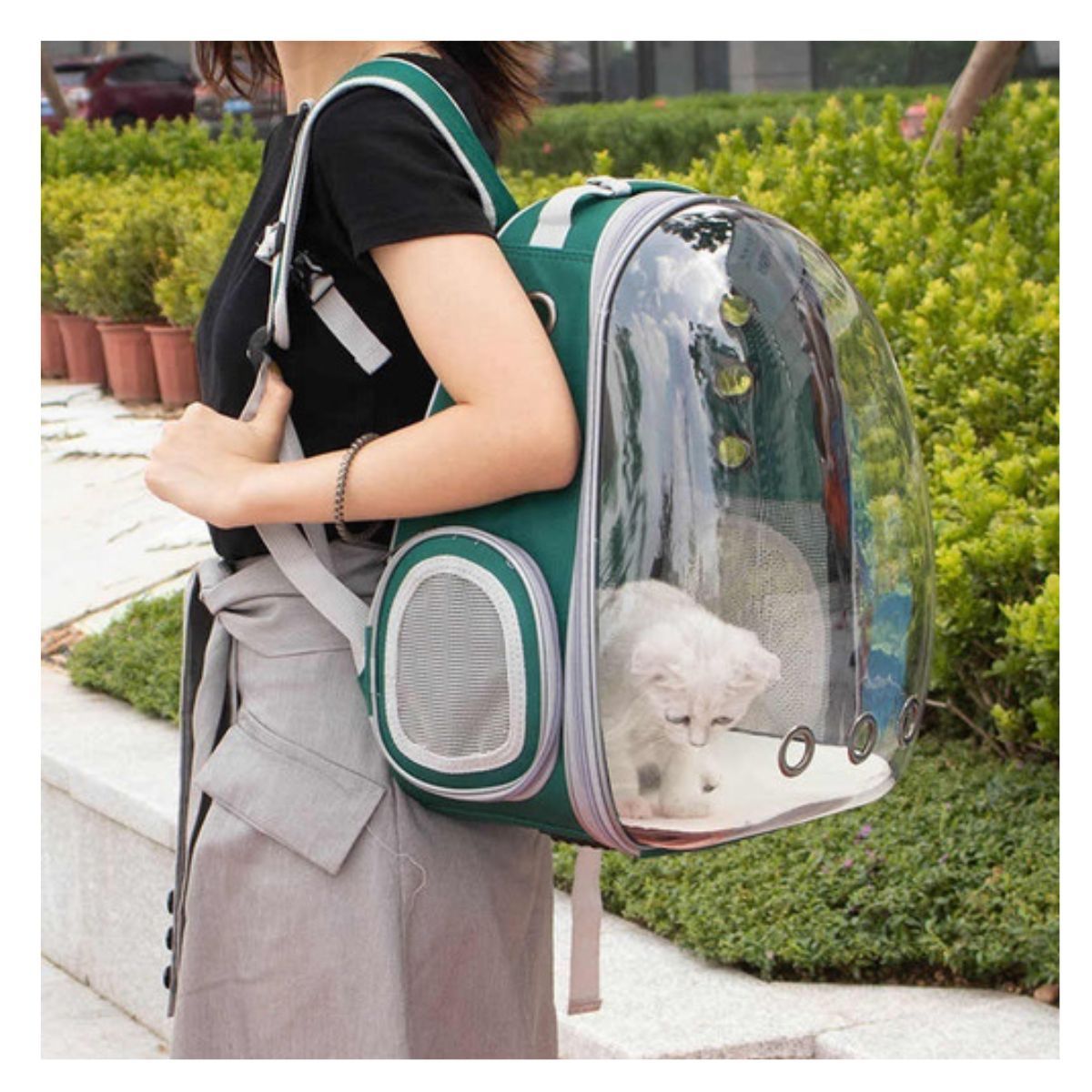 GENERICO - Bolso Mochila Porta Perros Jaula Transporte Perros Gatos