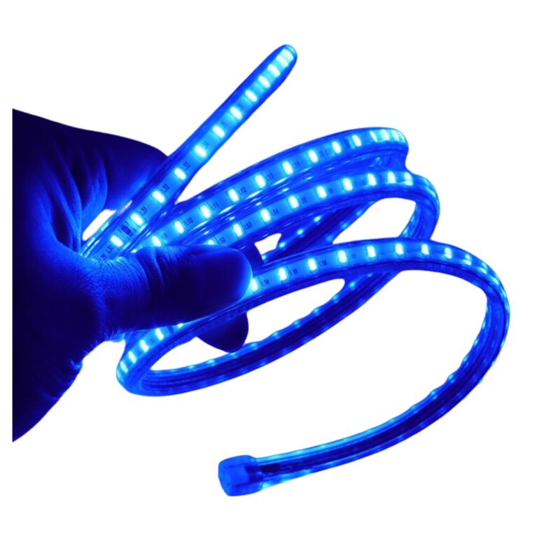 GENERICO - Cinta Led Azul Rojo Impermeable 5 Metros + Conector Al 220v