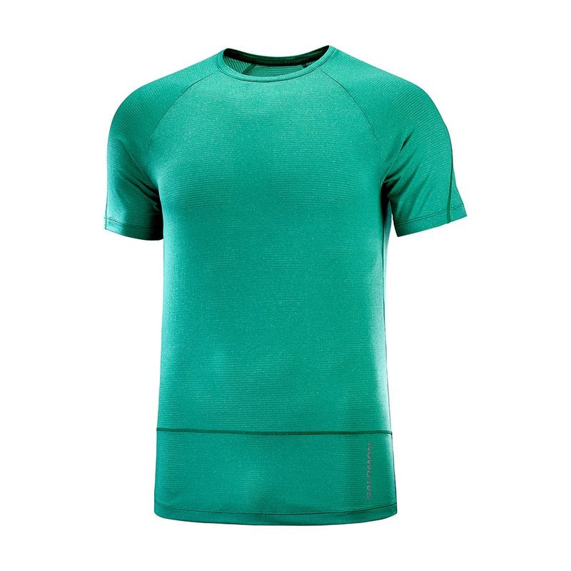 SALOMON - Polera Cross Run Ss Tee M Verde Hombre Salomon
