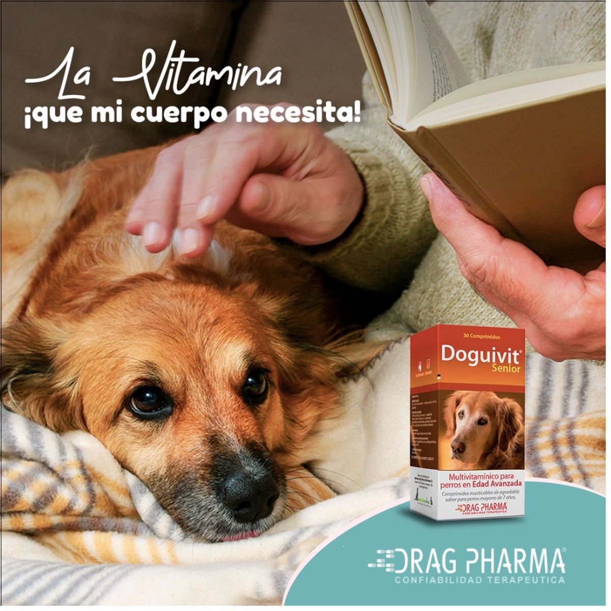 DRAG PHARMA - Doguivit Senior 30 comprimidos Drag Pharma