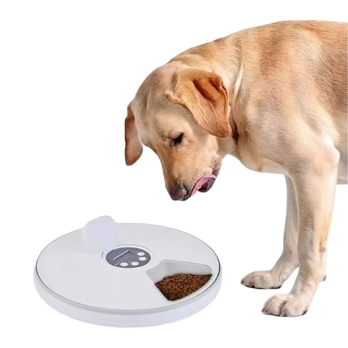 OEM - Dispensador De Alimento Automático Perros Gatos