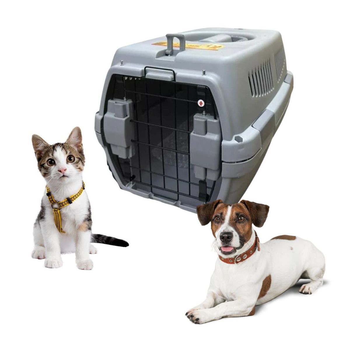 GENERICO - Jaula Kennel Caja Transporte de viaje para Mascotas