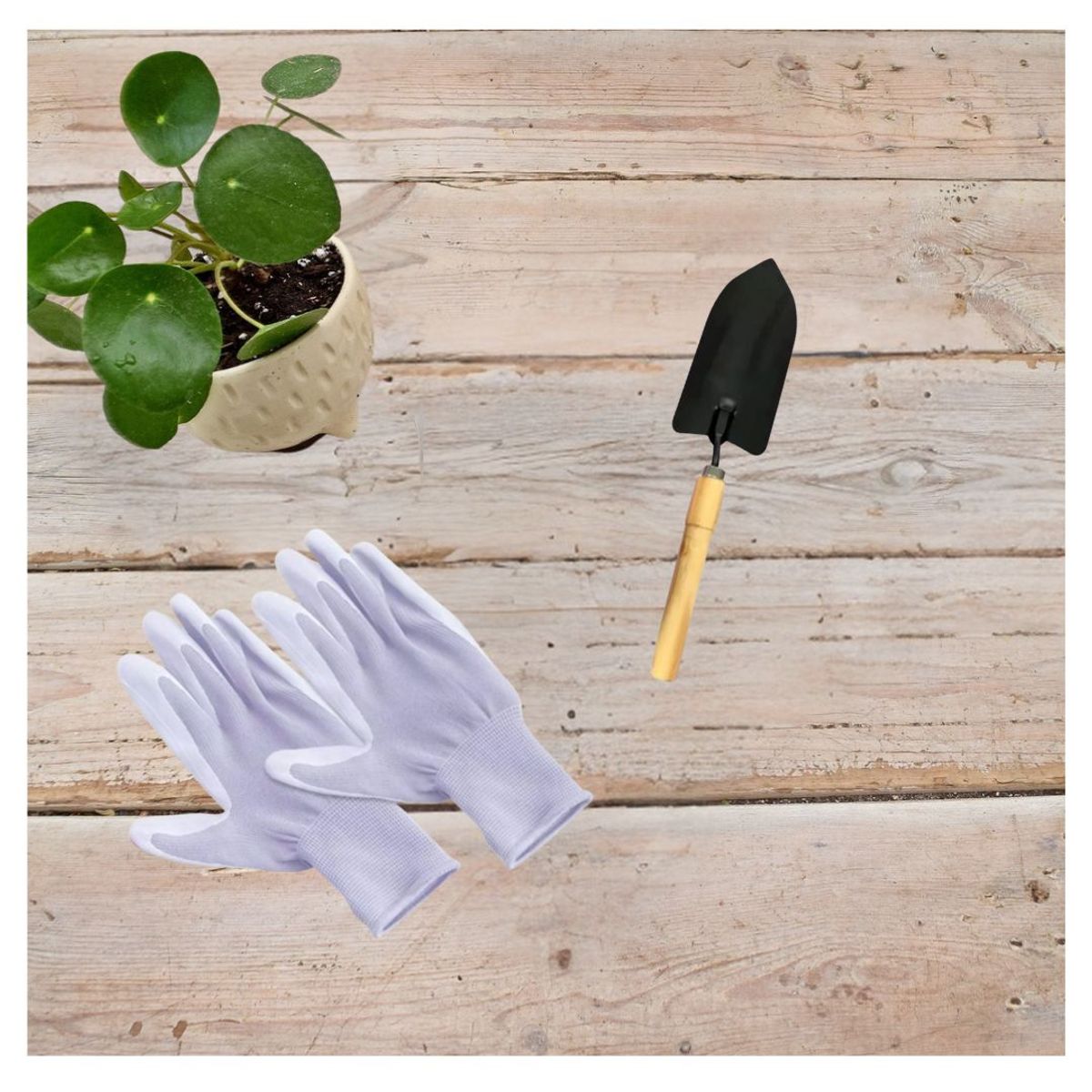 GENERICO - Set De Herramientas De Jardinería 2 Piezas