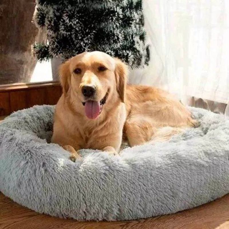 GENERICO - CAMA PERROS Y GATOS MASCOSTAS 70 CM PLOMA