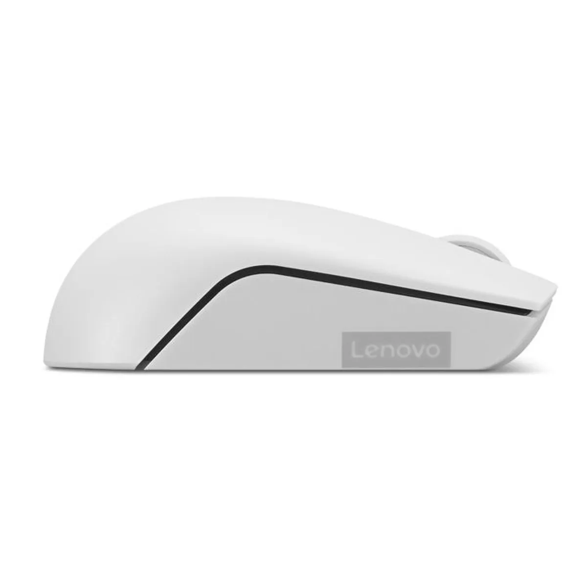 LENOVO - Mouse Lenovo 300 Wireless Compact - Cloud Grey