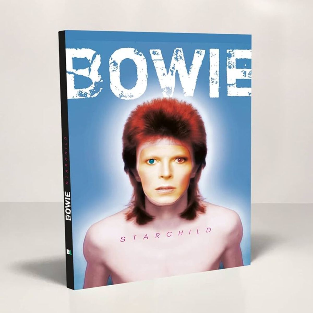EDITORIAL CONTRAPUNTO - David Bowie de Editorial Boldletters