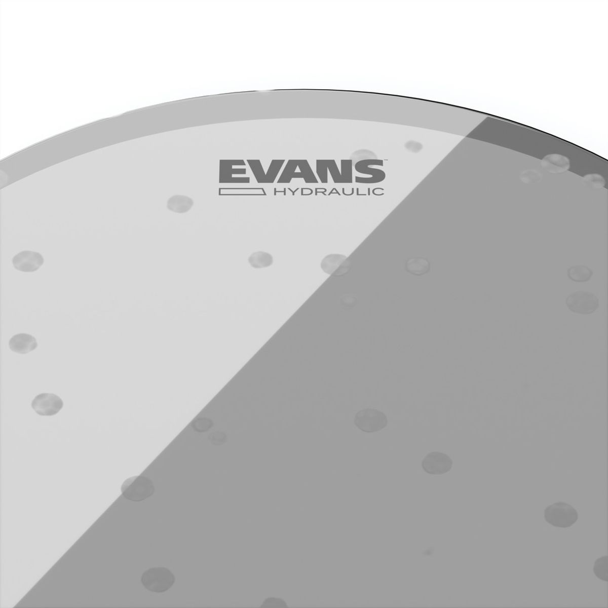 EVANS - Parche 12¨ Hydraulic Gls Evans