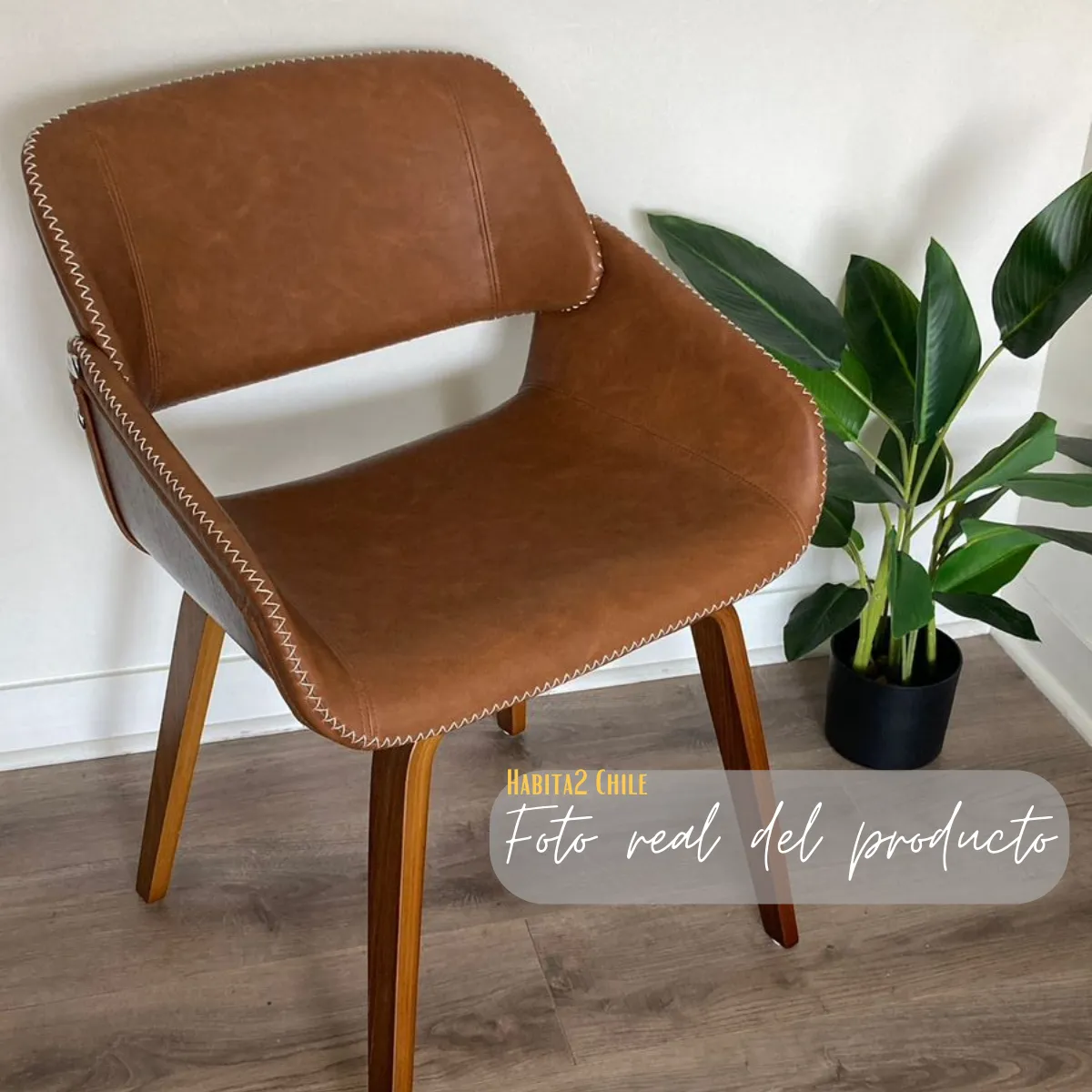 HABITA2 CHILE - Silla de comedor sitial Cafe -Brooklin
