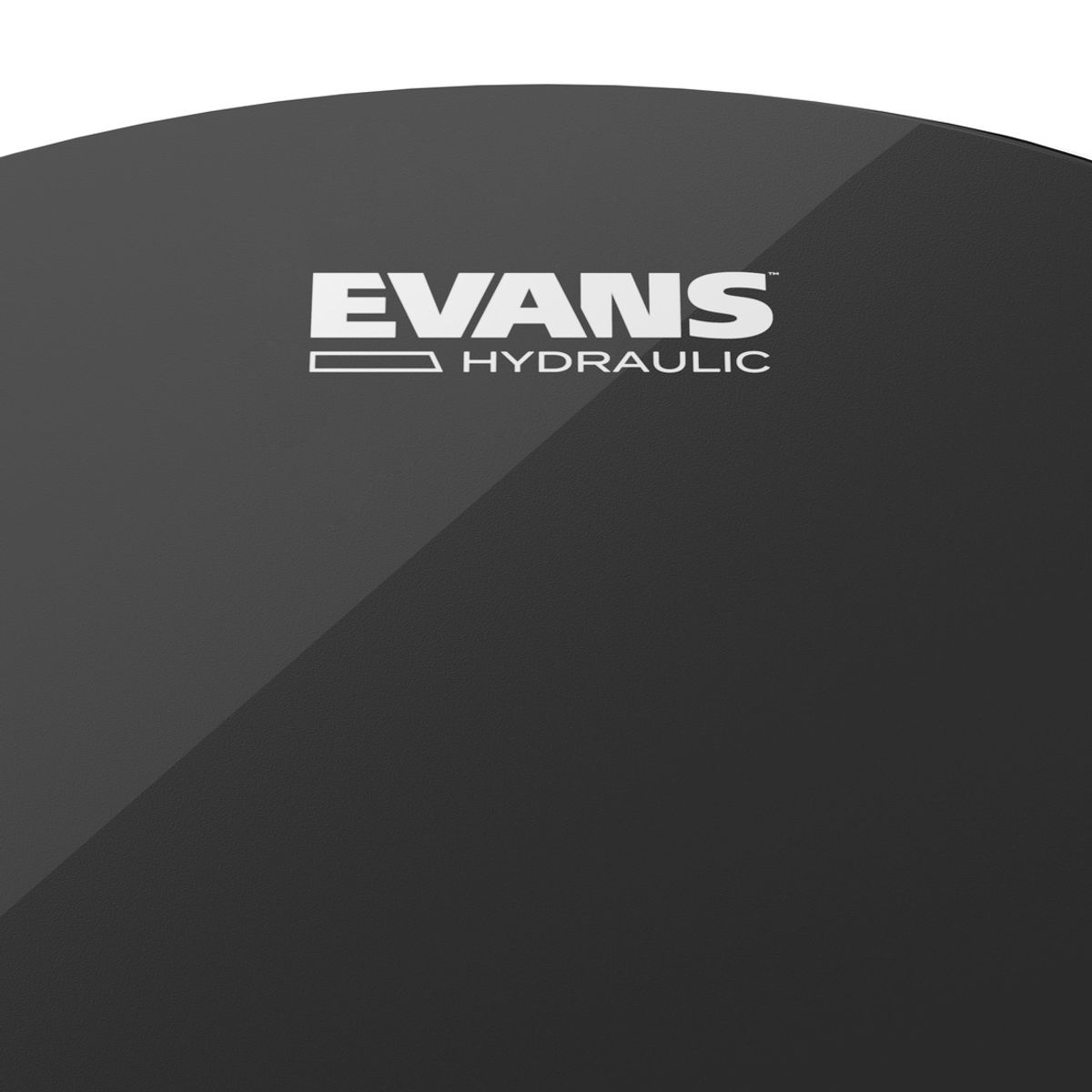 EVANS - Parche 22¨ Hydraulic Blk Evans