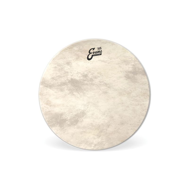 EVANS - Parche 22¨ Calftone Evans