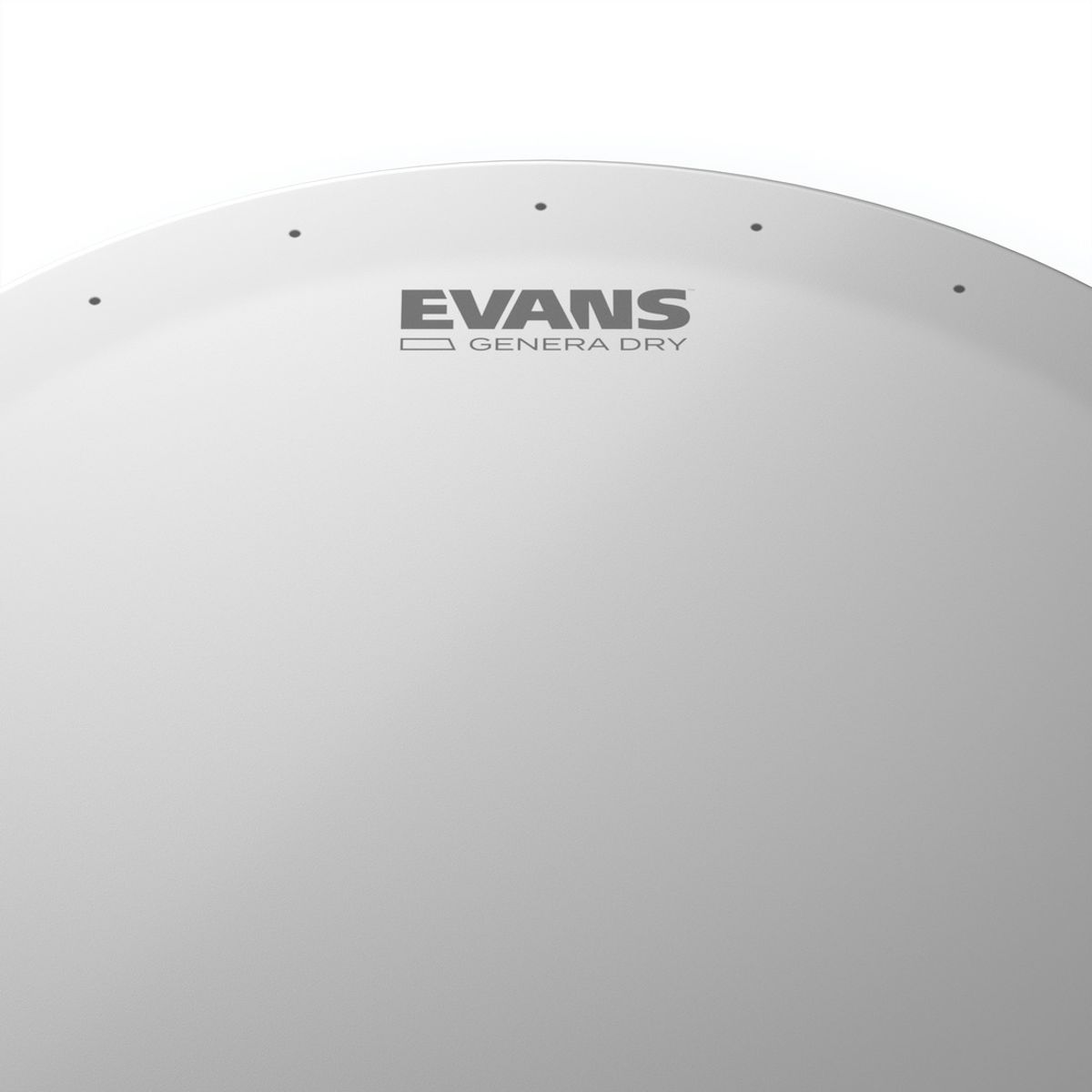 EVANS - Parche 13¨ GEN DRY Evans