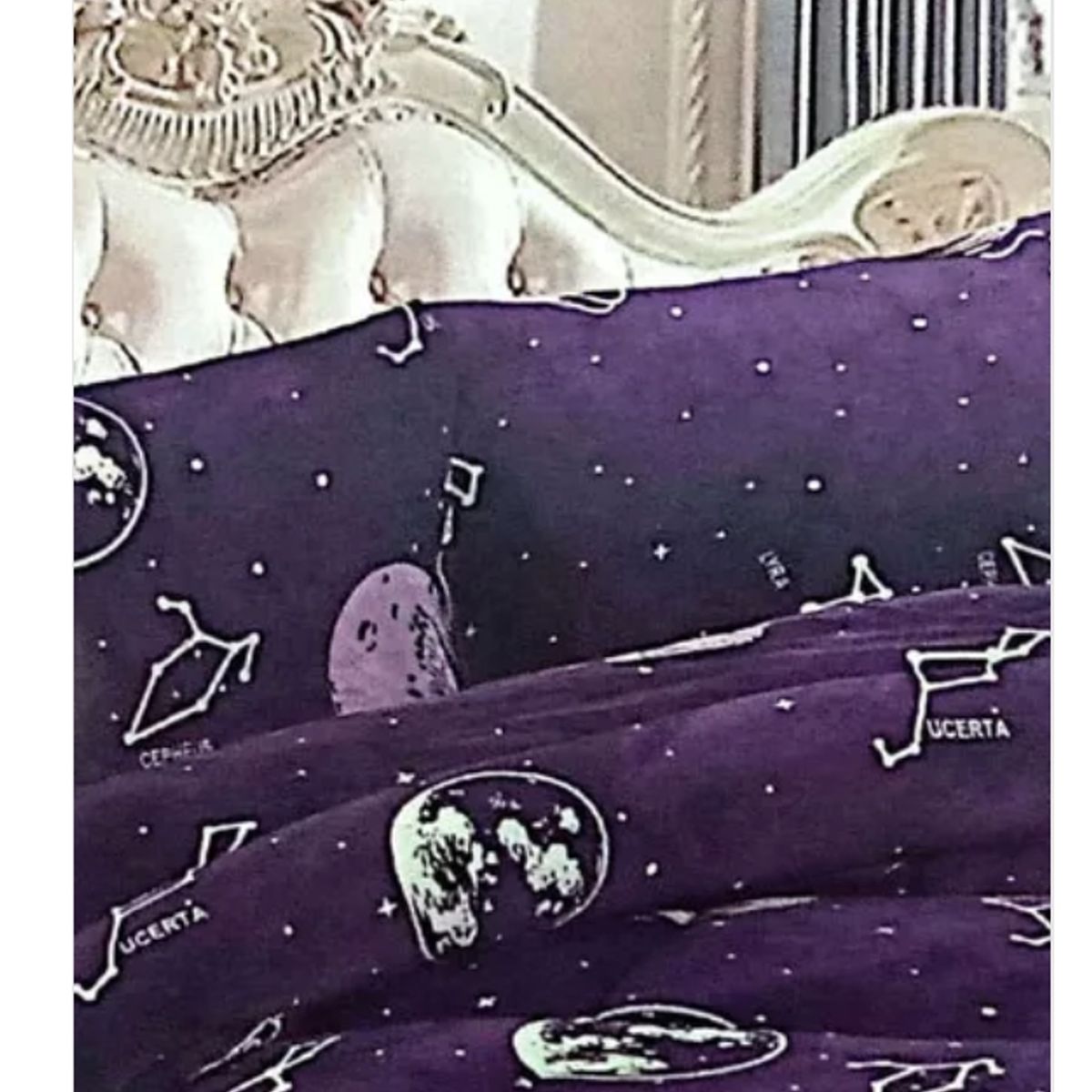 GENERICO - Cobertor De Invierno Con Chiporro 1.5 Plaza Peluditos Diseño