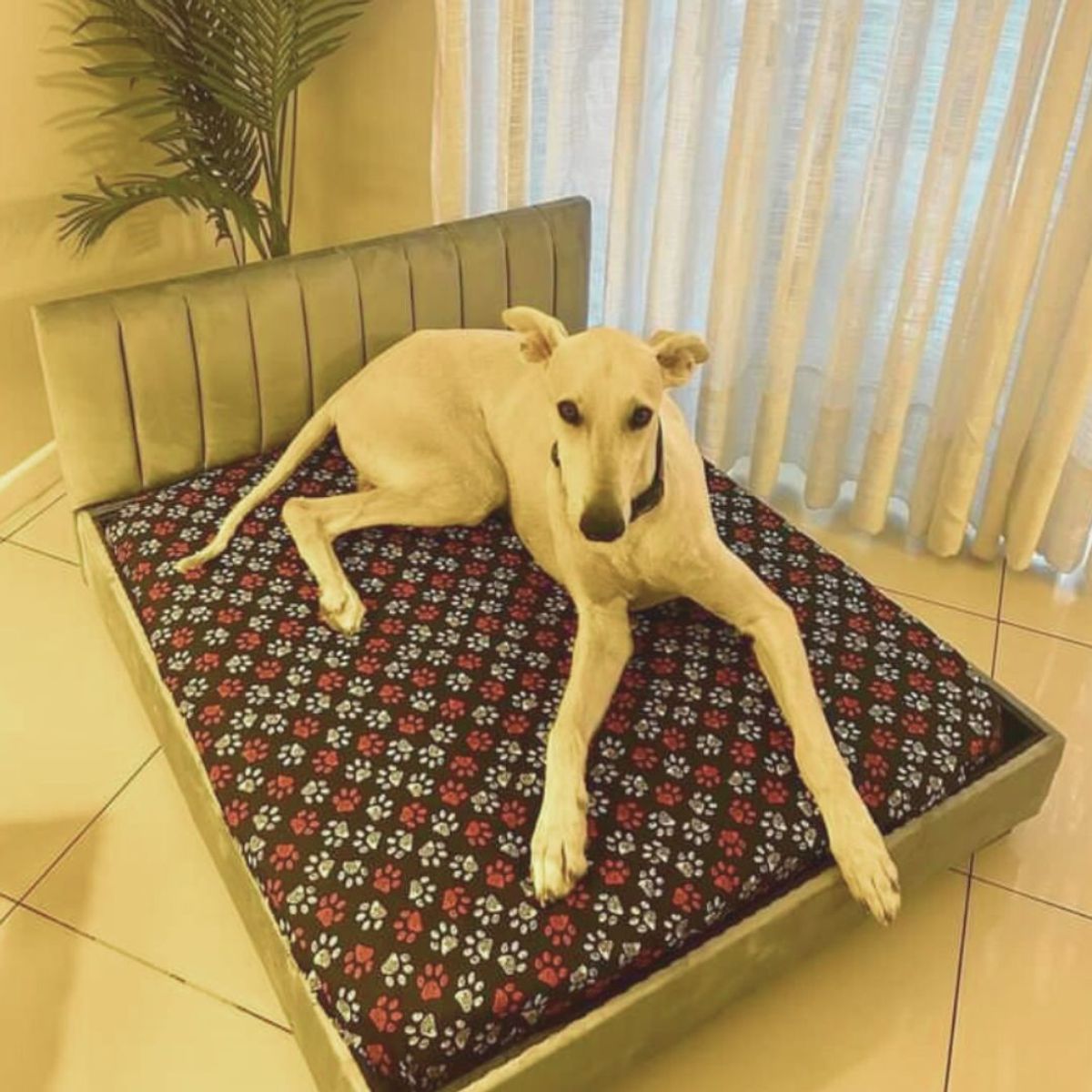 GENERICO - Cama mascota 100x90 cm