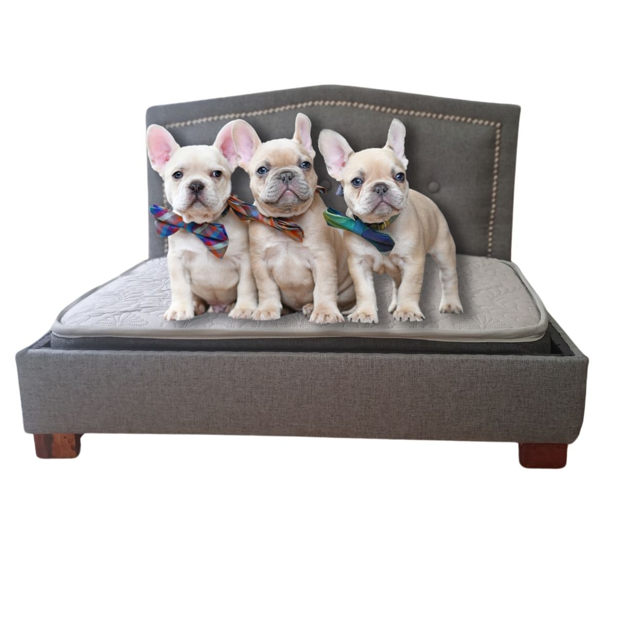 GENERICO - Camita Mascota respaldo curvo 80 x 60