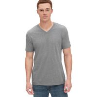 Polera Cuello V Solida Gris