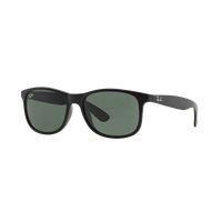 Ray-Ban Andy RB4202