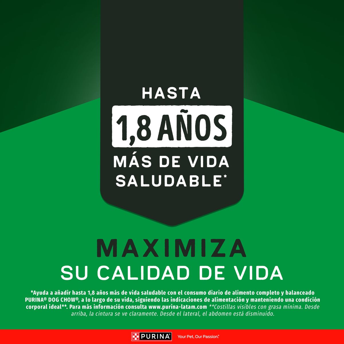 DOG CHOW - Alimento seco para perro DOG CHOW® Adultos Todos los Tamaños Alta en Proteína 15kg