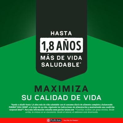 Imagen 2 del producto Alimento seco para perro DOG CHOW® Adultos Todos los Tamaños Alta en Proteína 15kg