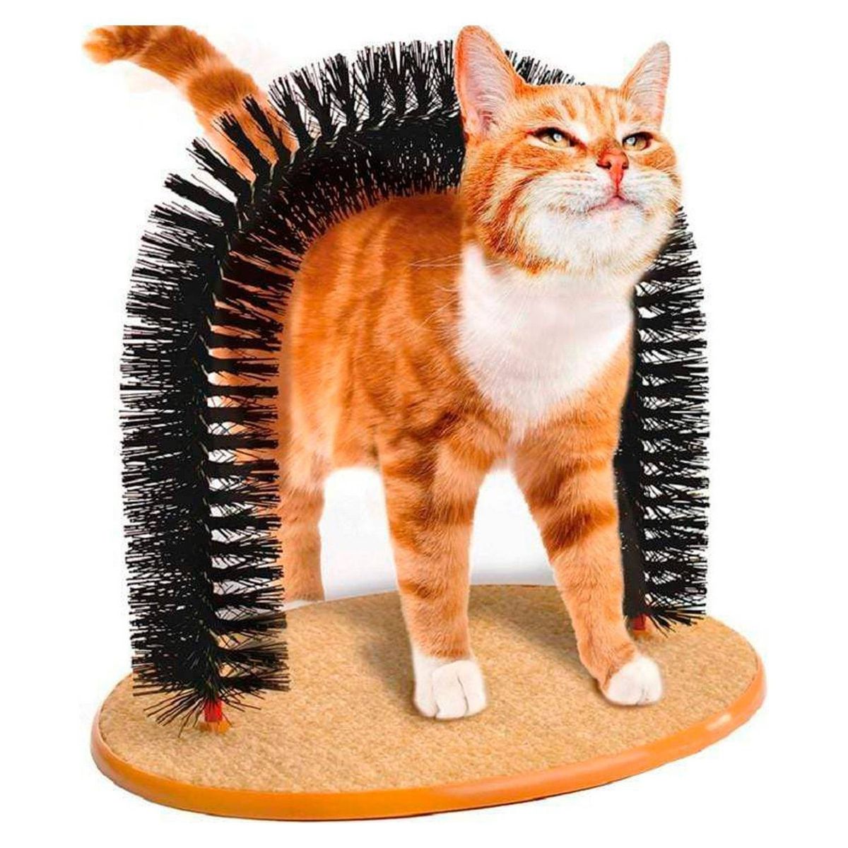 GENERICO - Rascador Y Masajeador De Gatos