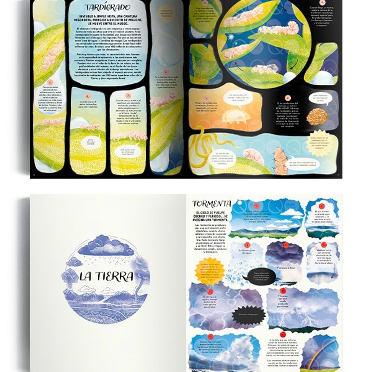 EDITORIAL CONTRAPUNTO - La magia de la naturaleza