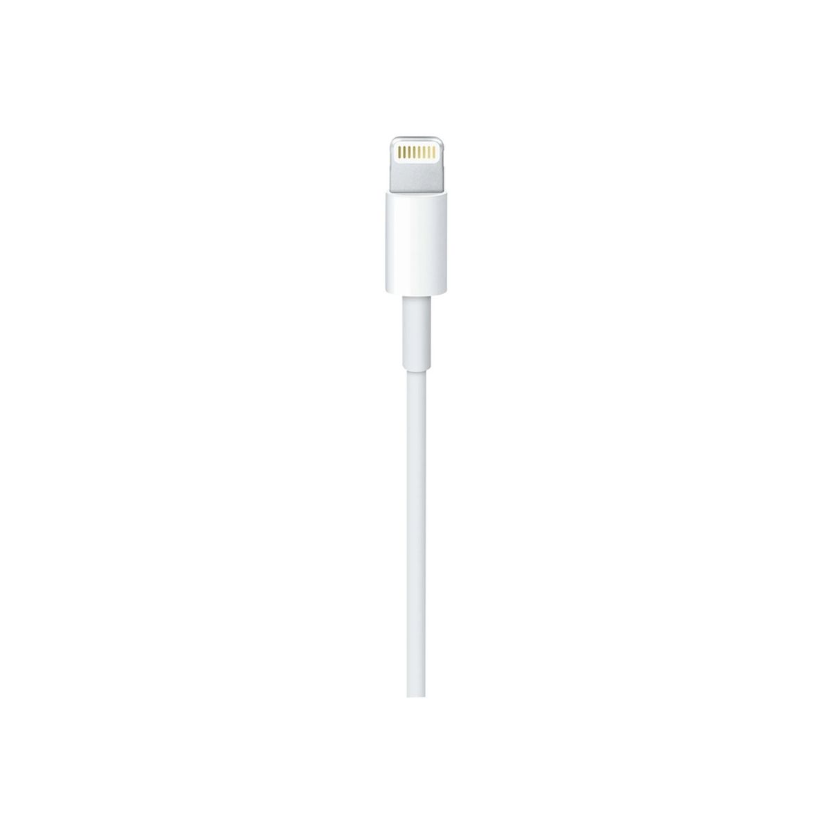 APPLE - Cable Apple MUQ93AM/A USB-C a Lightning 1 mt - Blanco