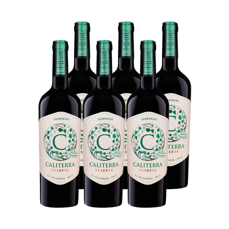 6x Vino Reserva Carmenere 750cc