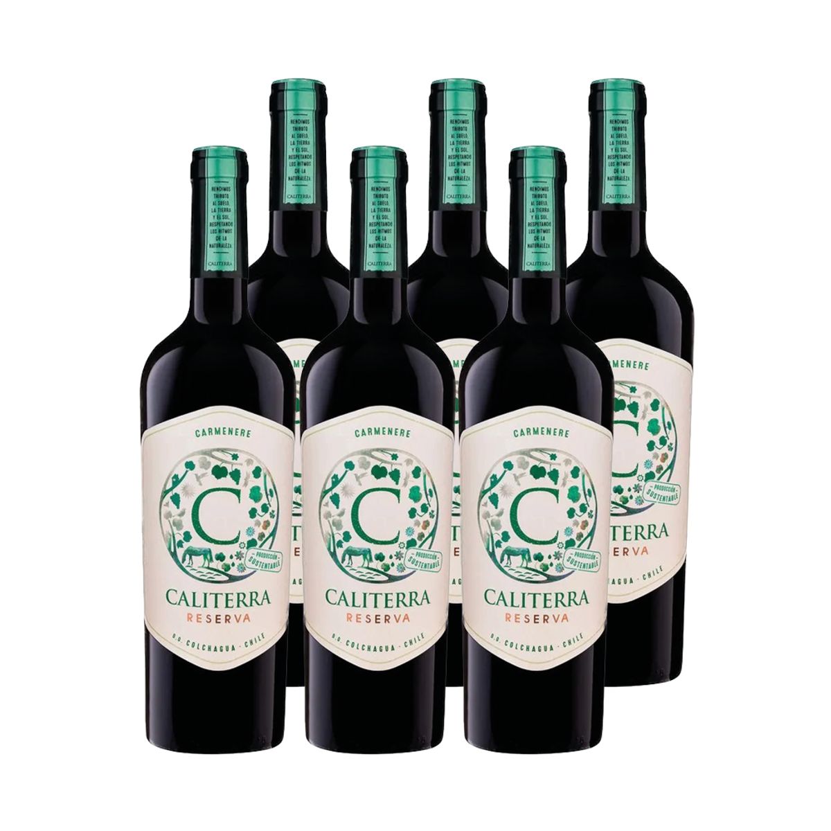 CALITERRA - 6x Vino Caliterra Reserva Carmenere 750cc
