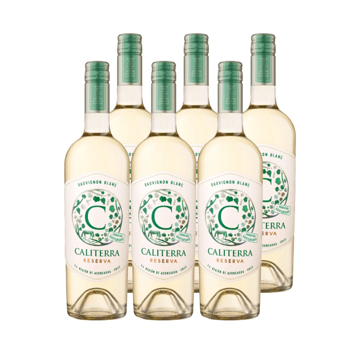 CALITERRA - 6x Vino Caliterra Reserva Sauvignon Blanc 750cc