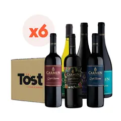 CARMEN - 6x Mix Vinos Gran Reserva 750cc