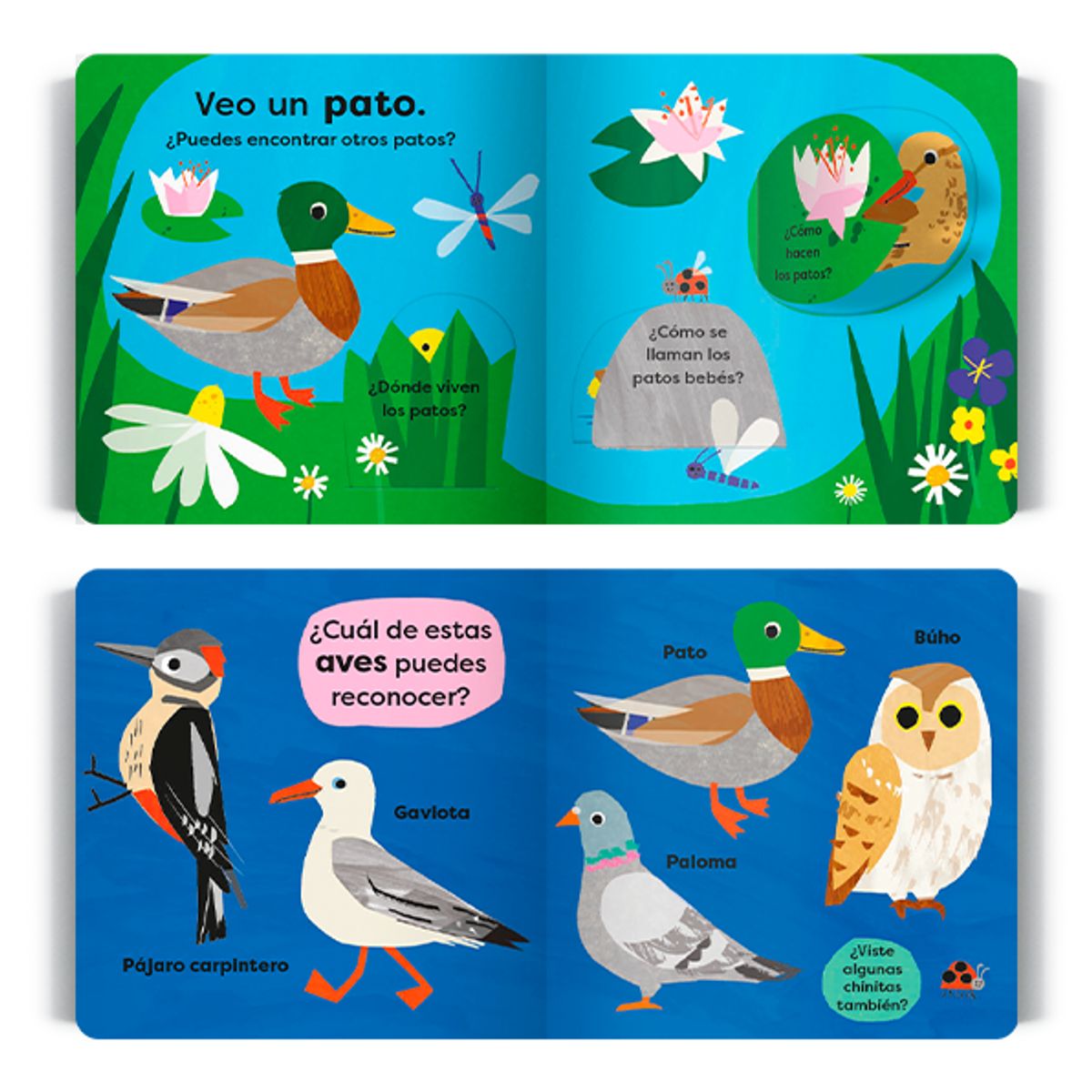 EDITORIAL CONTRAPUNTO - Veo Un Pato. Mi Primera Guía Visual