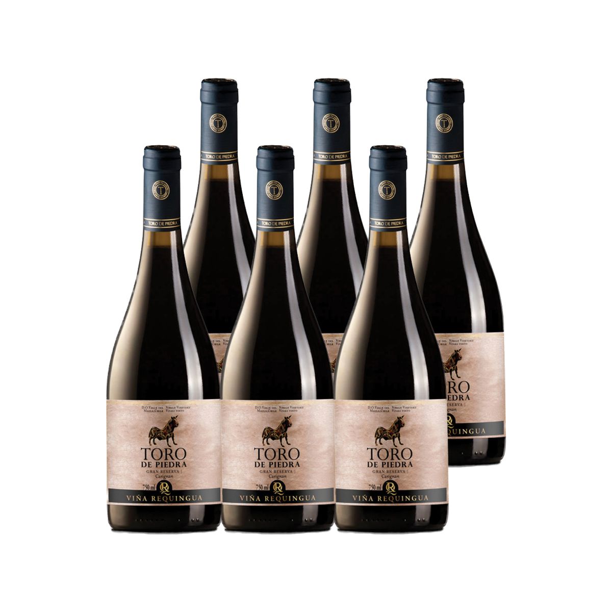 TORO DE PIEDRA - 6x Vino Toro de Piedra Gran Reserva Carignan 750cc