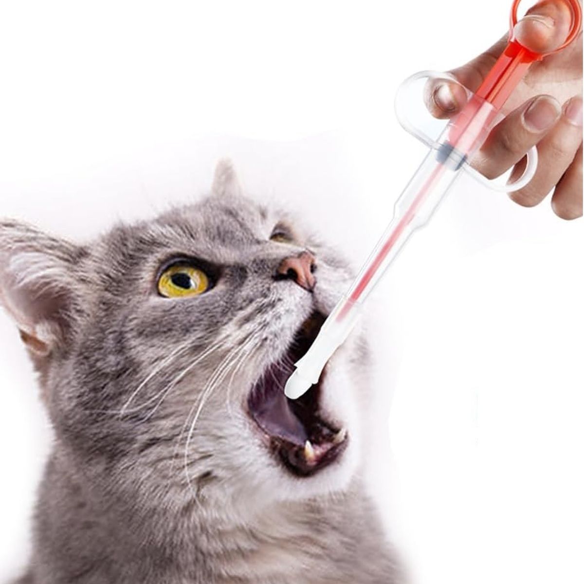 DEFENSOR FOREVER - Jeringa Para Medicamentos para Perros Y Gatos color Rojo