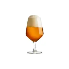 ROYAL LEERDAM - SET 6 COPON 38CL CERVEZA ENJOY THE MOMEN