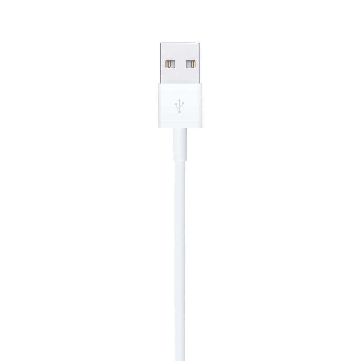 APPLE - Cable Apple de Lightning a USB 1 mt - Blanco