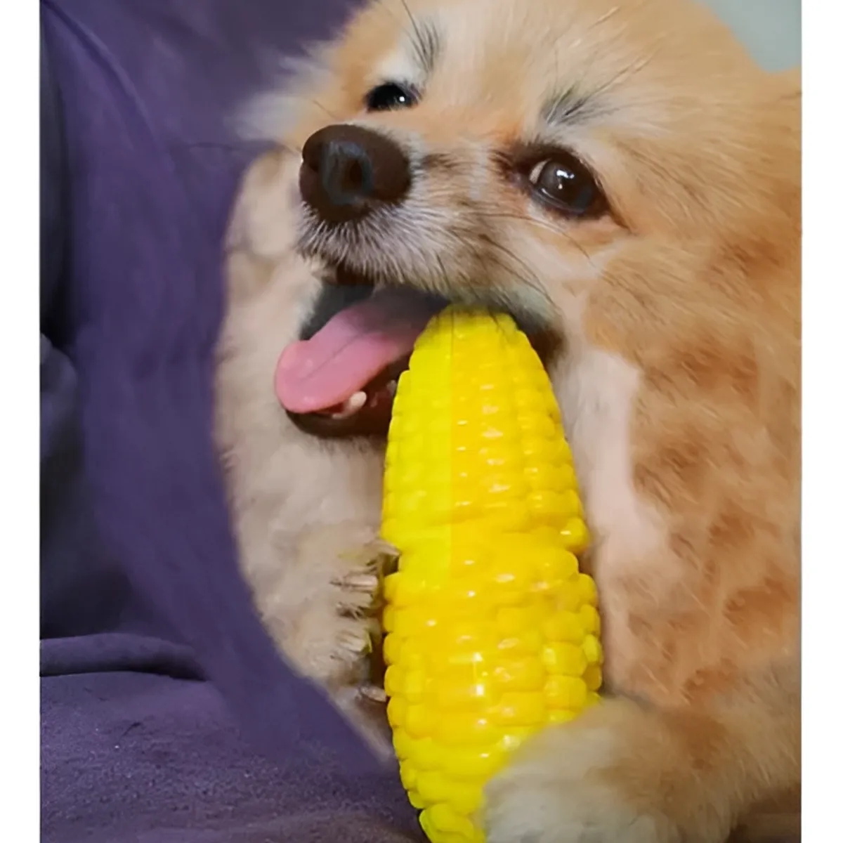 GENERICO - Juguete Mordedor Para Perros Juguetes Para Cachorros Sonido