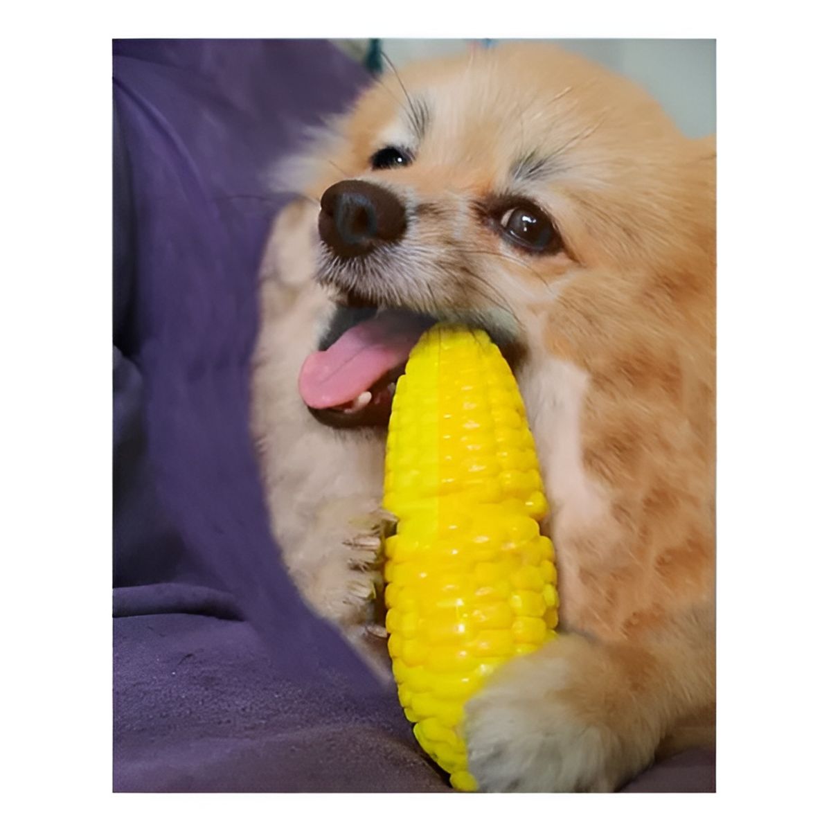 GENERICO - Juguete Mordedor Para Perros Juguetes Para Cachorros Sonido