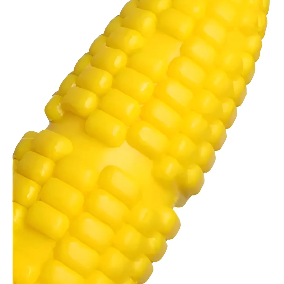 GENERICO - Juguete Mordedor Para Perros Juguetes Para Cachorros Sonido