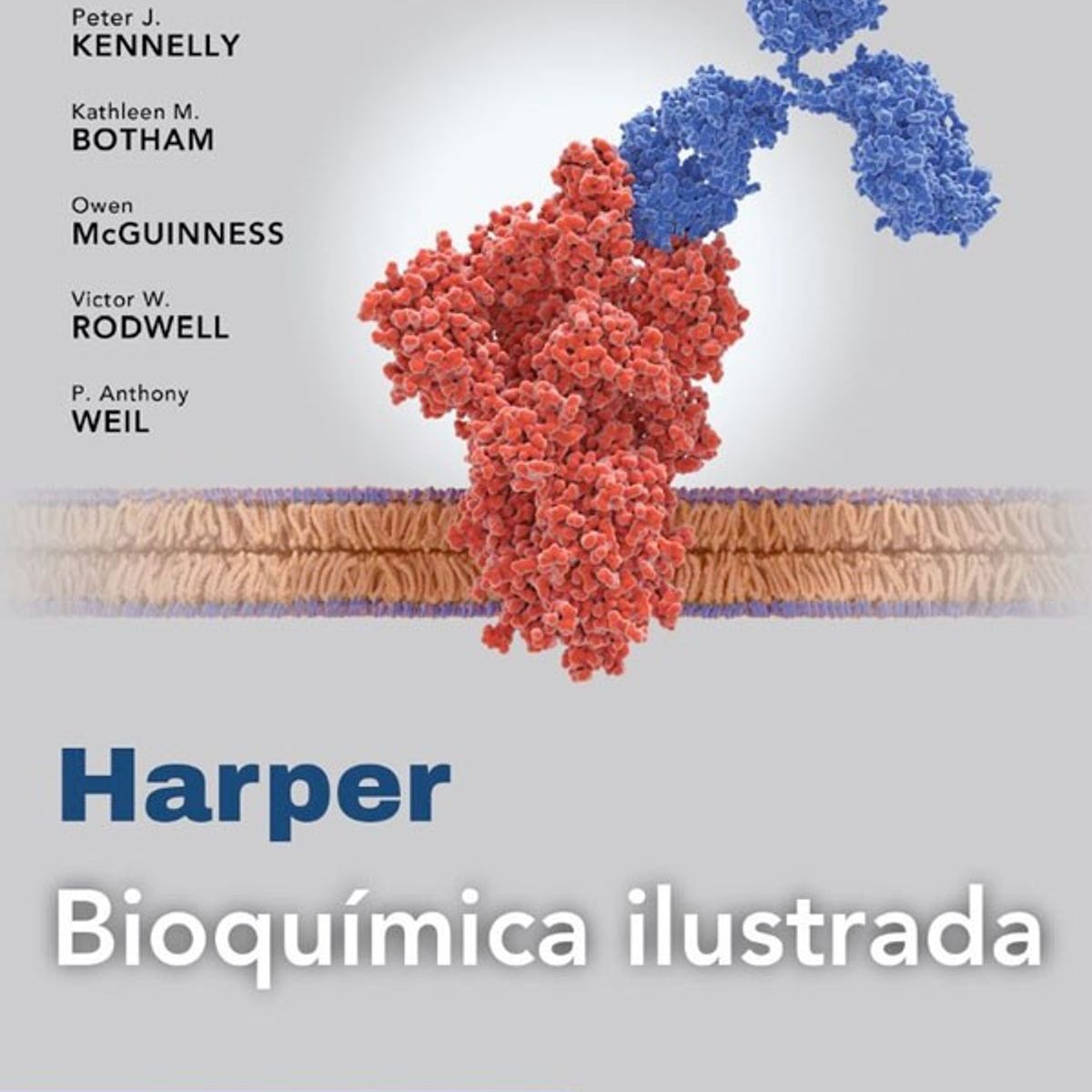 EDITORIAL MEDITERRANEO - Libro Harper Bioquimica Ilustrada 32Ed