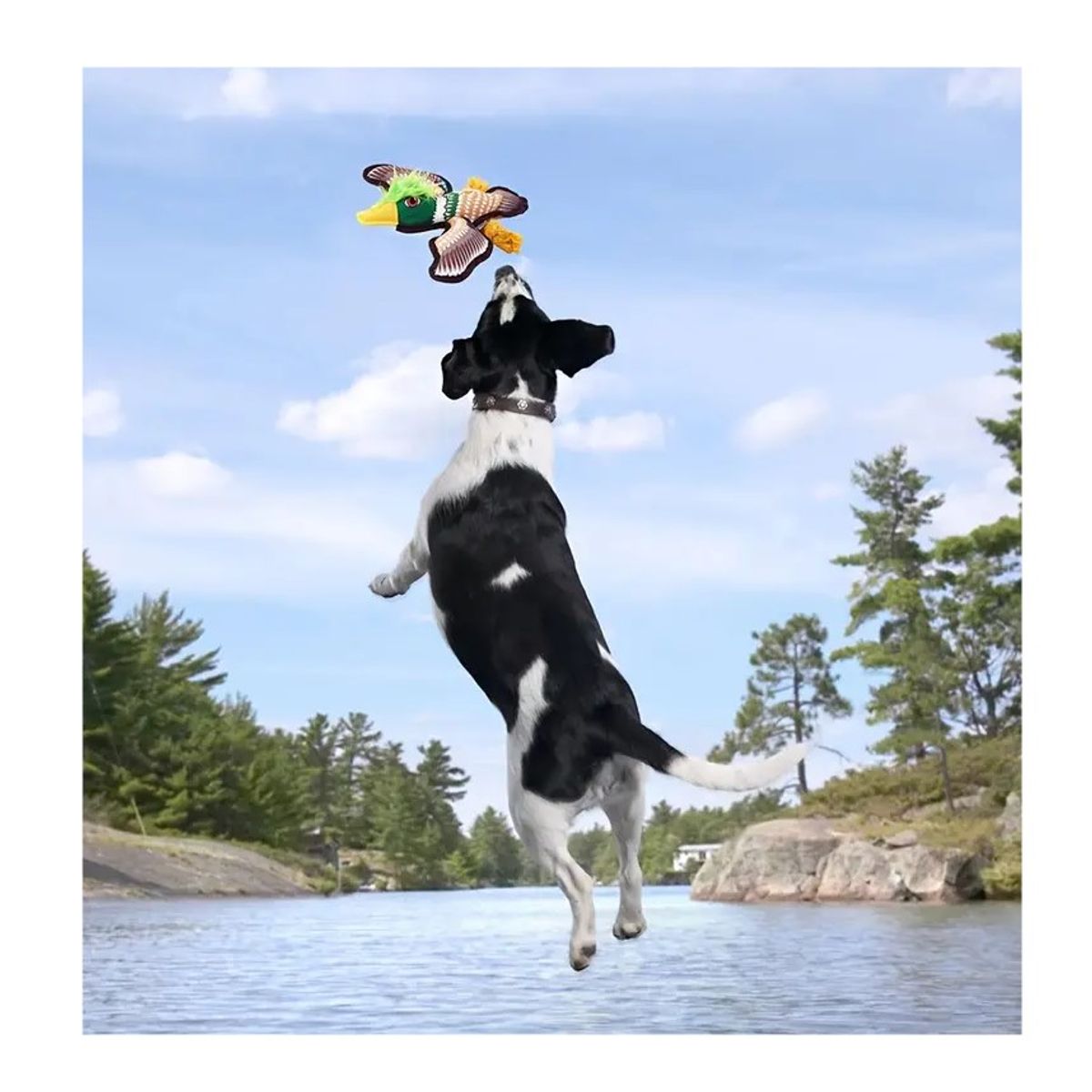 GENERICO - Juguete de tela para perro con forma de águila