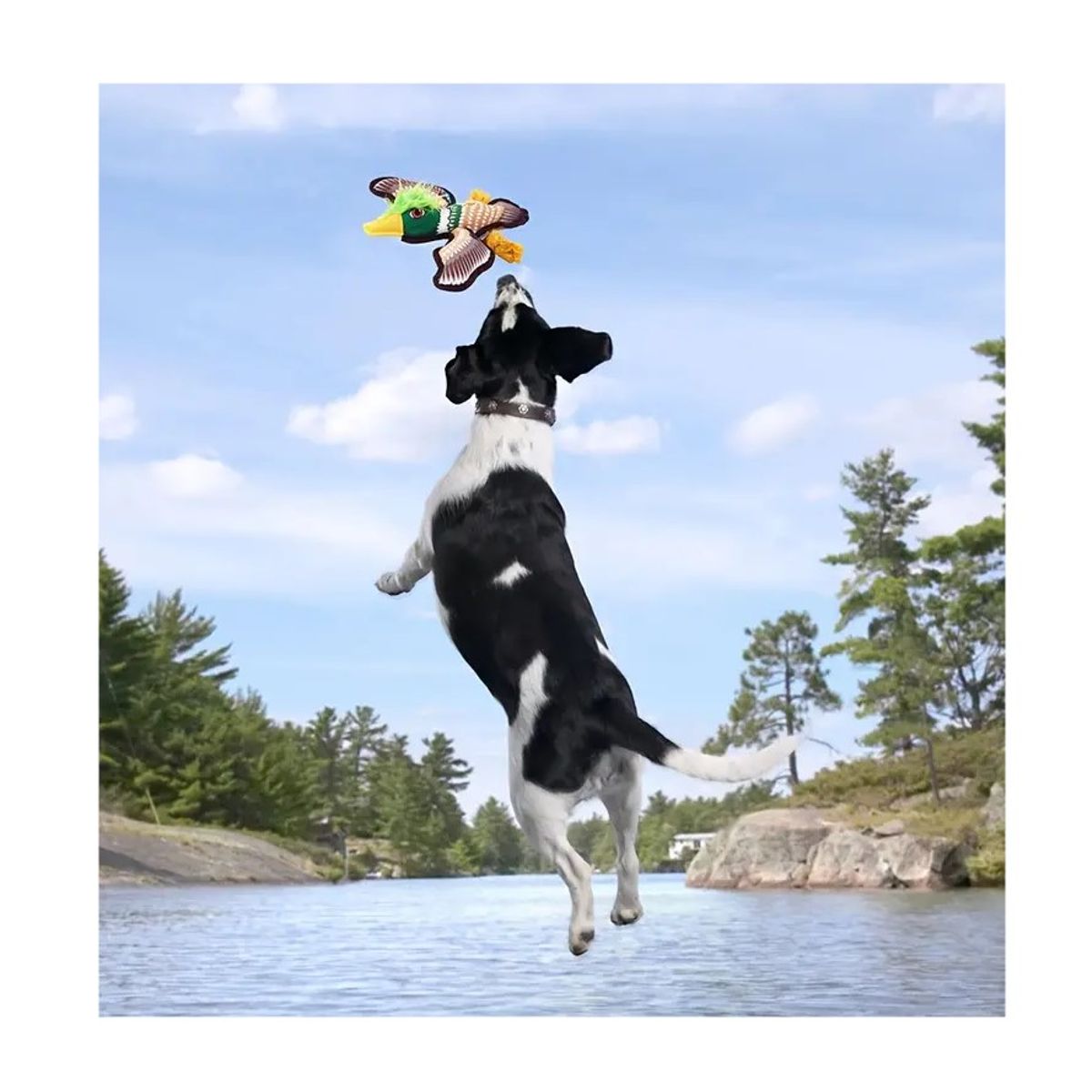 GENERICO - Juguete de tela para perro con forma de águila