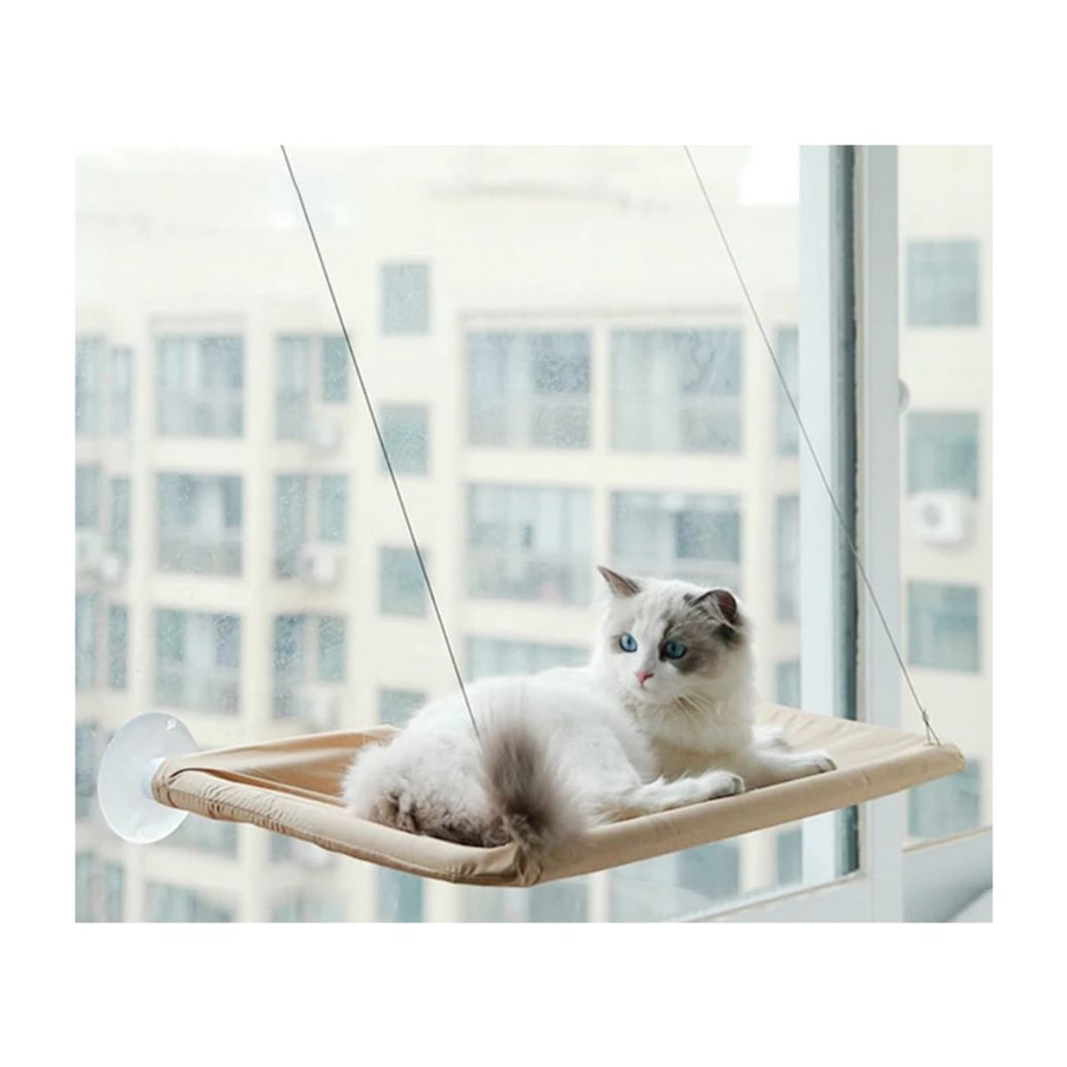 GENERICO - Cama Hamaca Para Gatos Colgante a Ventanas.