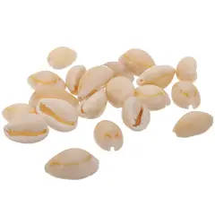 GENERICO - Bolsa De 50 Unidades Conchitas Cauri / Pure blanco