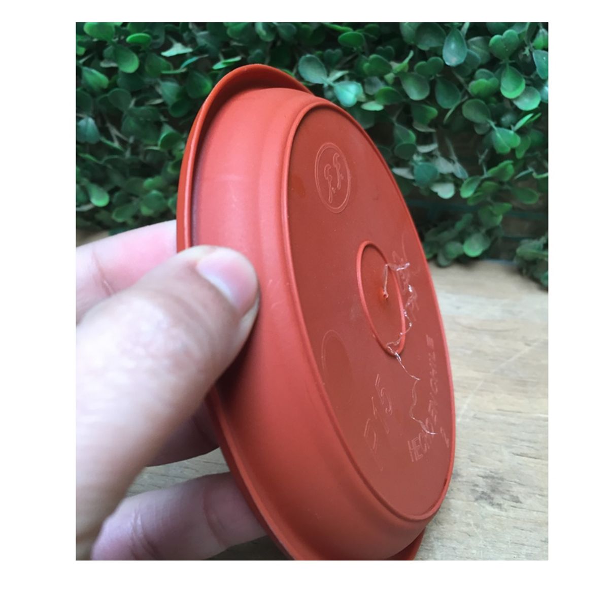 GENERICO - Pack 10 Plato Base Macetero Redondo Interior 11 Cm N°15