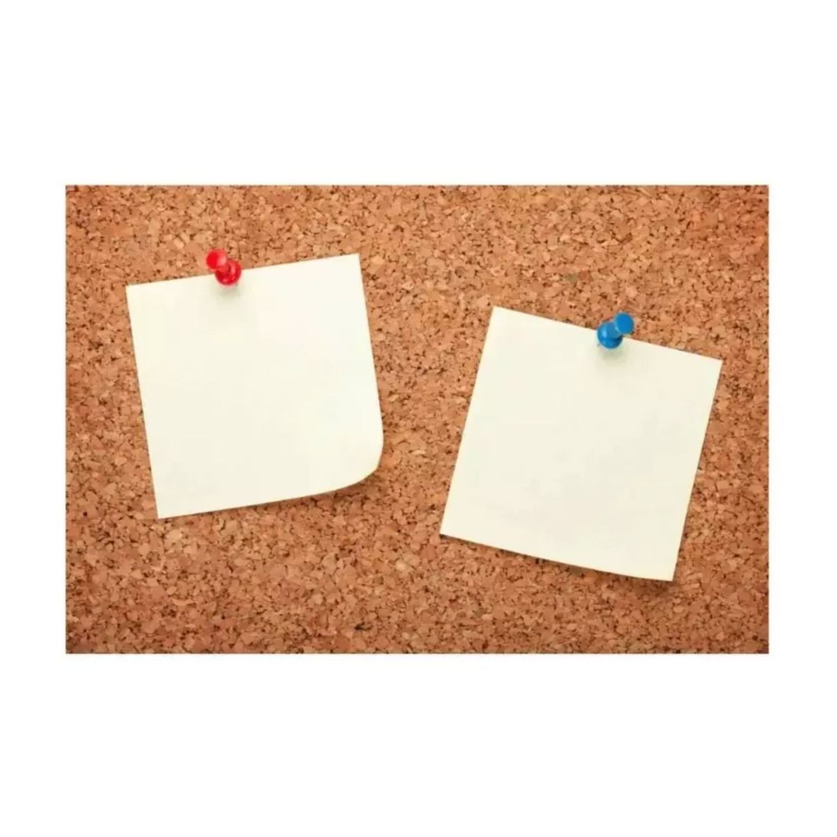 GENERICO - Pizarra Corcho 60 X 90 Borde Madera Resistente + Fijadores