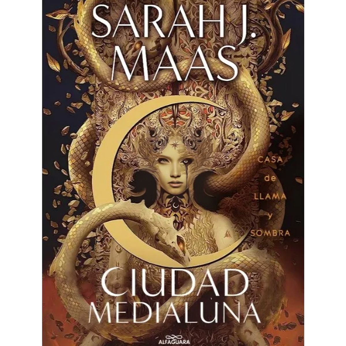 TOP10BOOKS - LIBRO Casa De Flama Y Sombra (ciudad Medialuna 3)