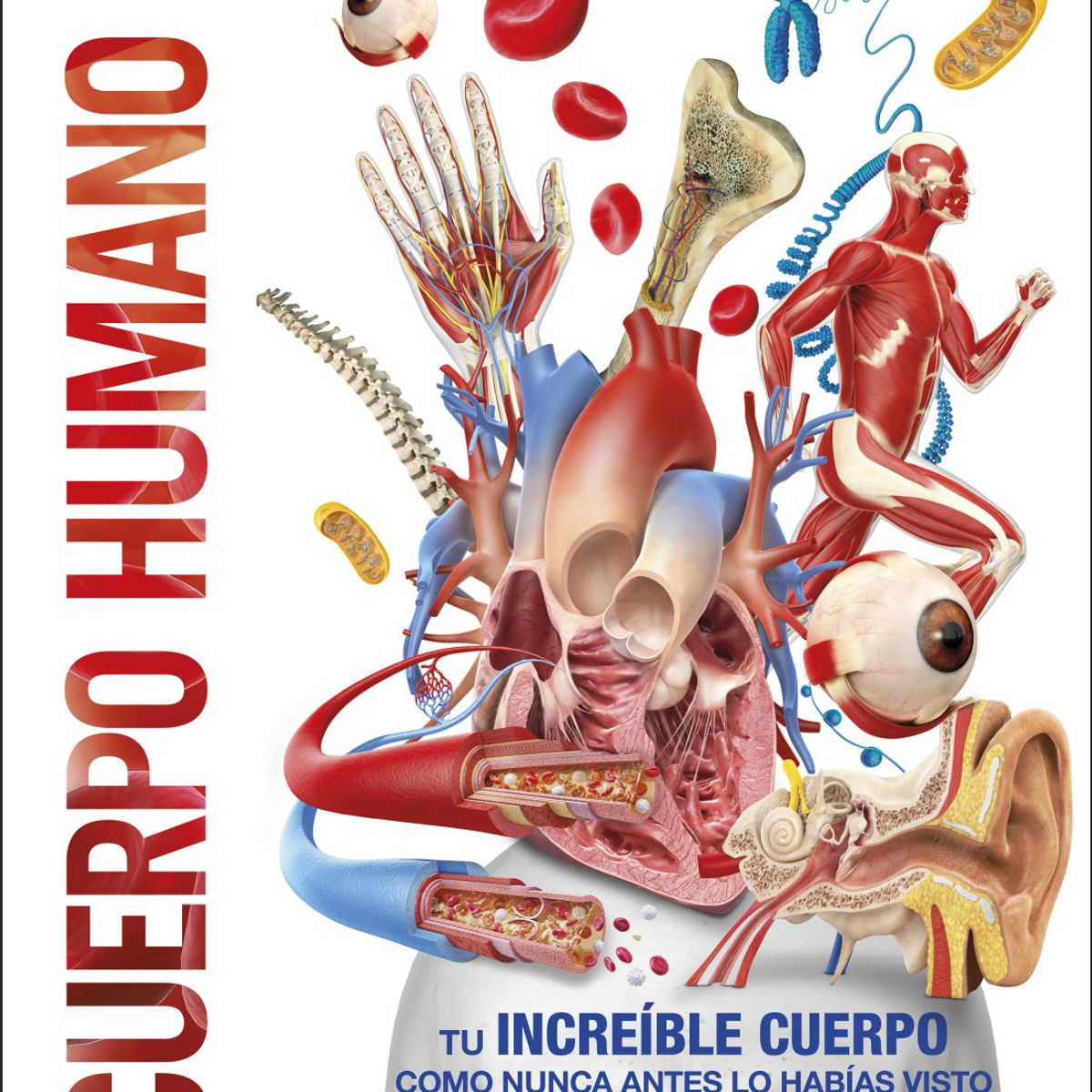 EDITORIAL DK - Libro Mundo 3D - Cuerpo humano - DK