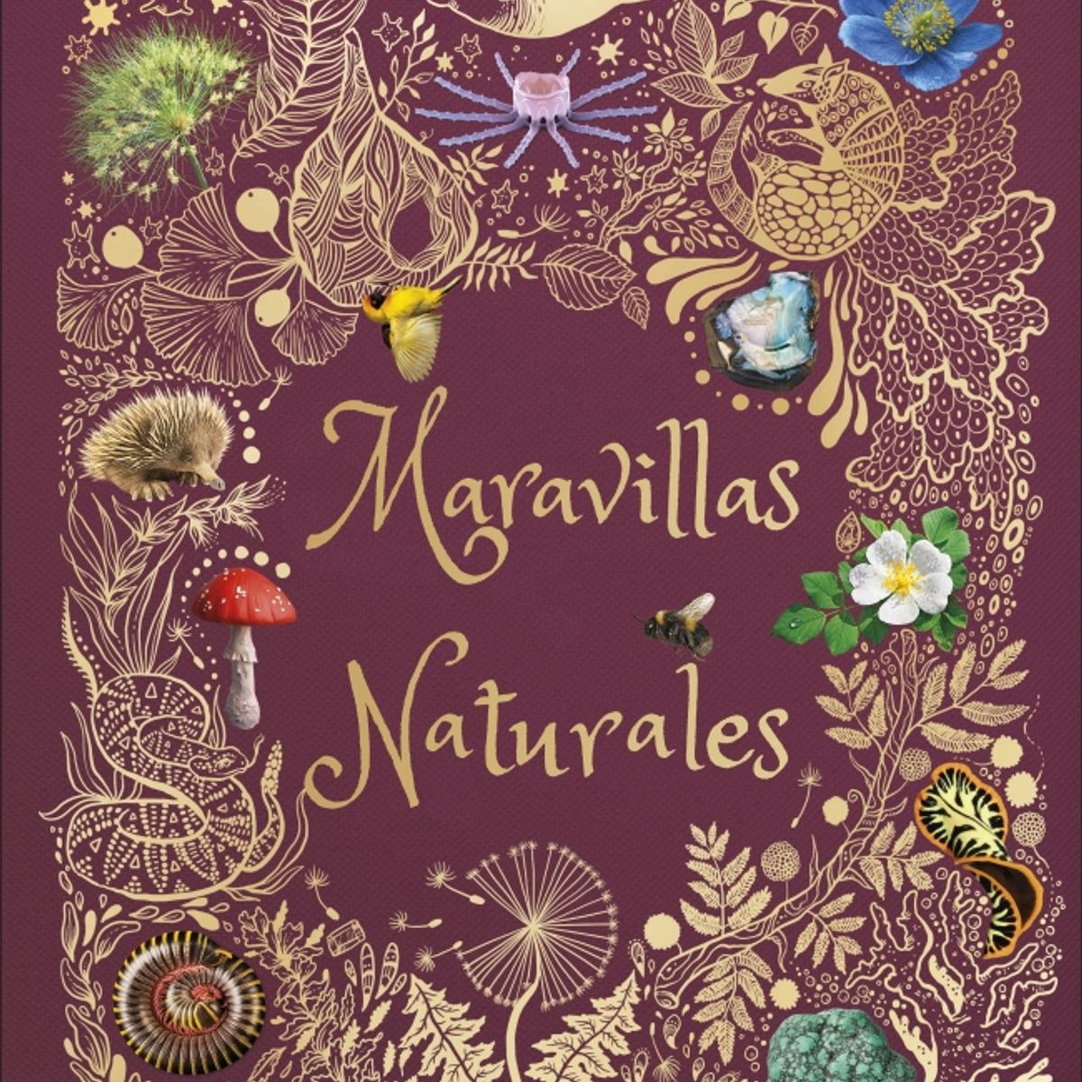 EDITORIAL DK - Libro Maravillas naturales (Álbum ilustrado) - DK DK