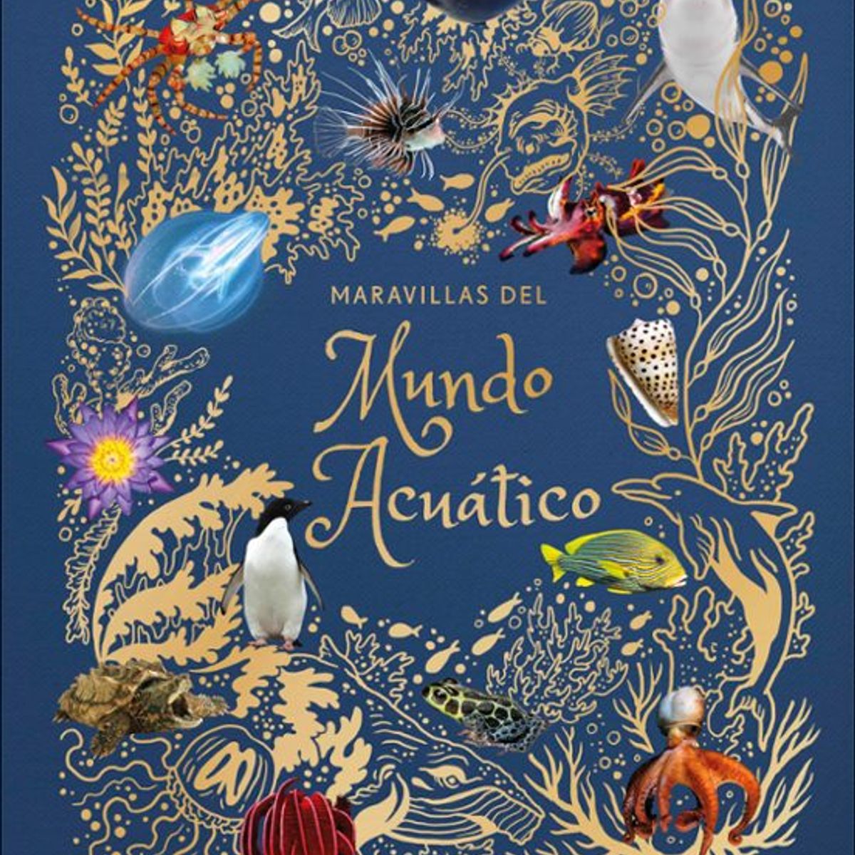 EDITORIAL DK - Libro Maravillas del mundo acuático - DK DK